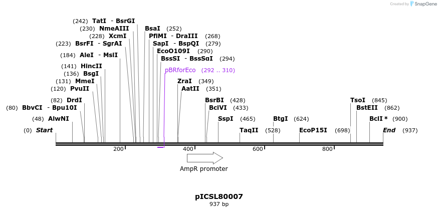 76713_map