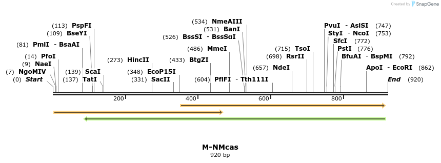 76715_map