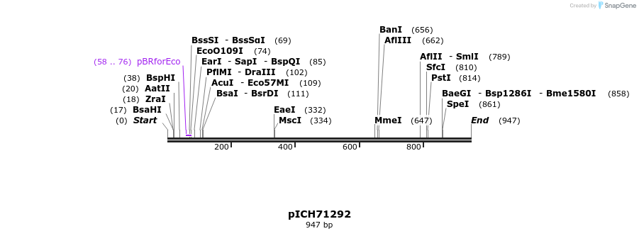 76718_map