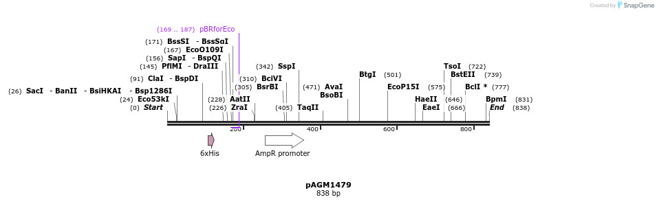 76726_map