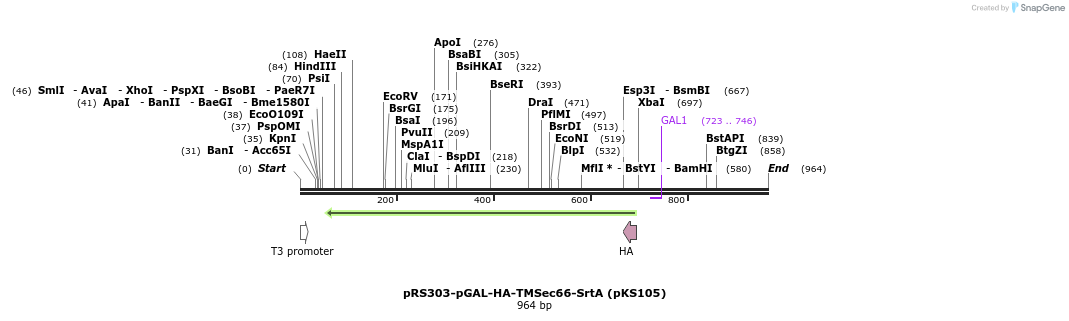 76727_map