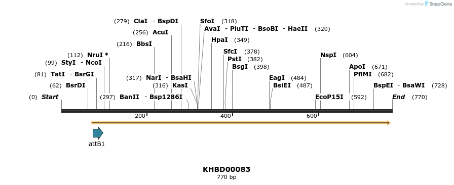 76728_map