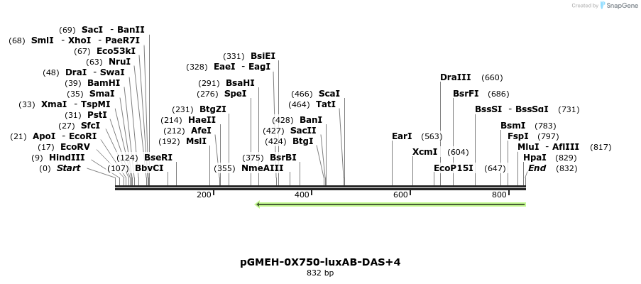 76729_map