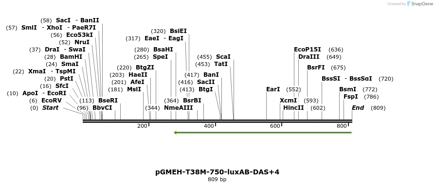 76731_map
