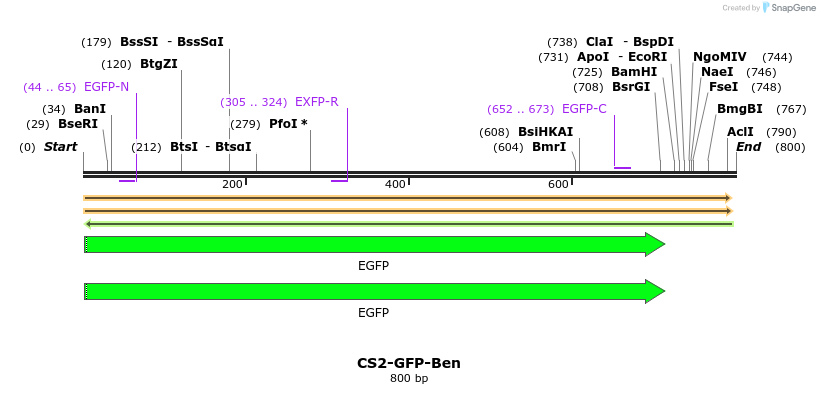 76742_map