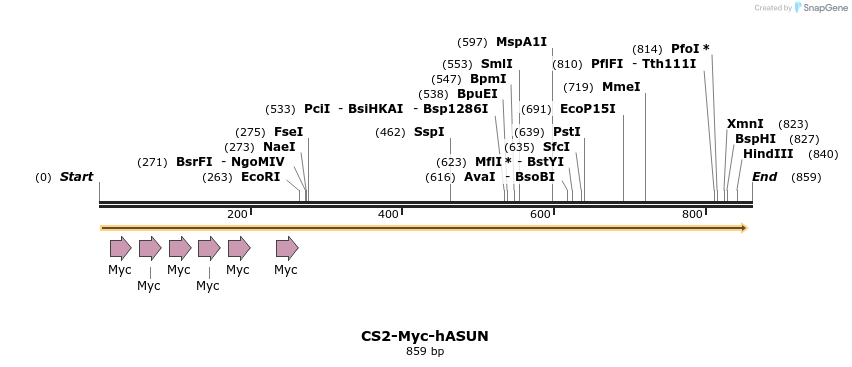 76743_map