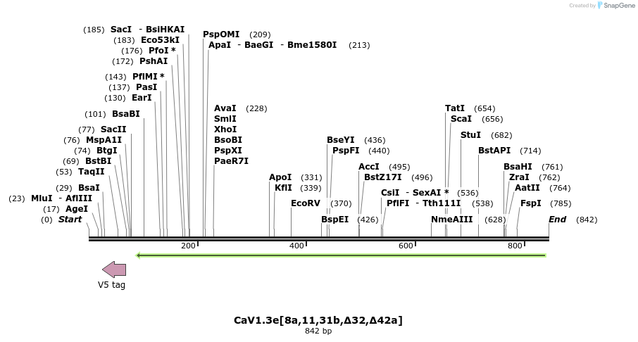 76746_map