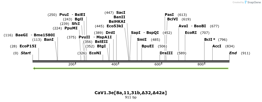 76747_map