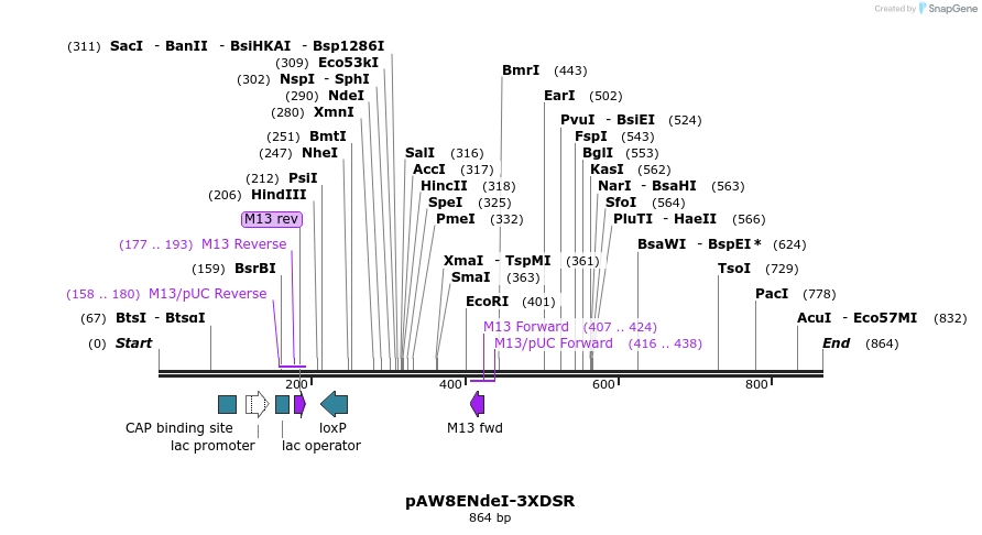 76752_map