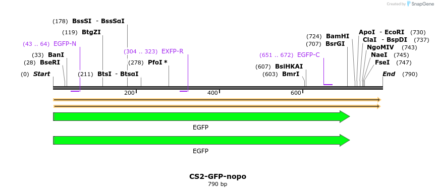 76762_map