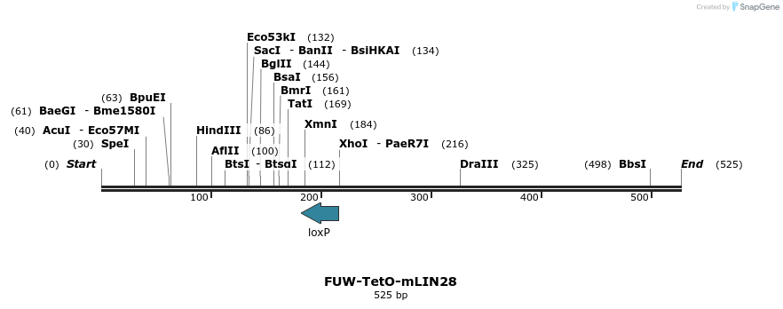 76765_map