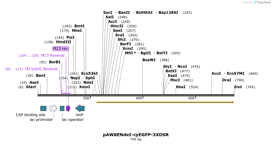 76766_map