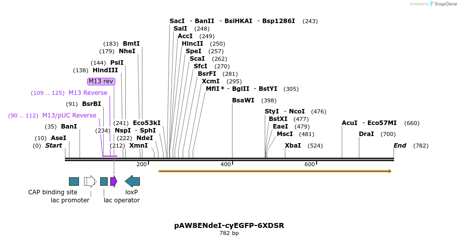 76774_map