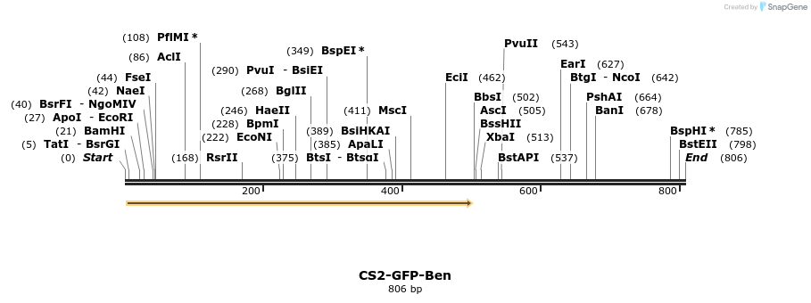 76777_map