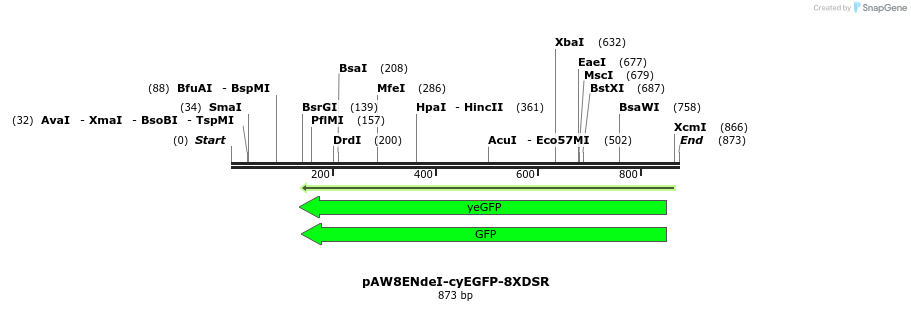 76779_map