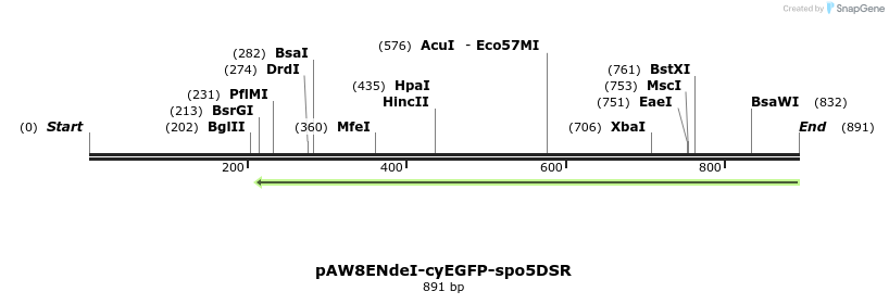 76782_map