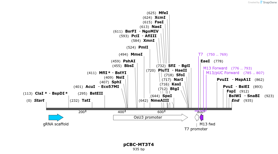 76784_map