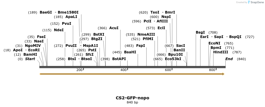 76786_map