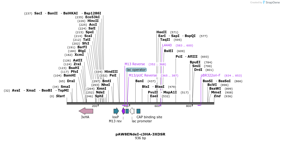 76789_map