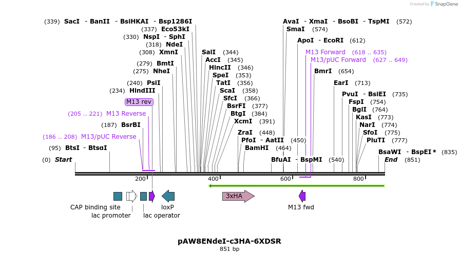 76790_map