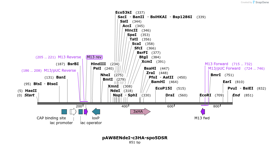 76793_map