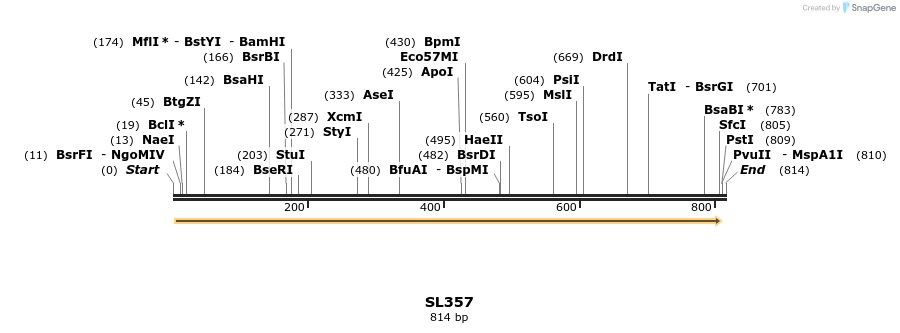 76794_map
