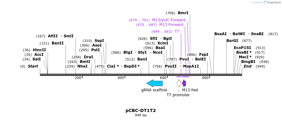 76795_map