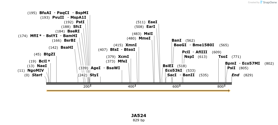 76796_map