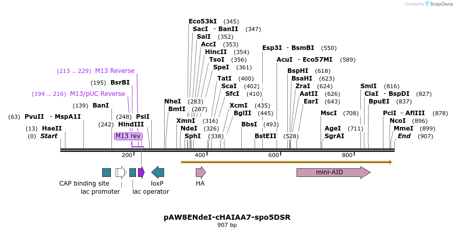 76797_map
