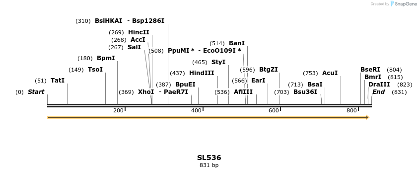 76799_map