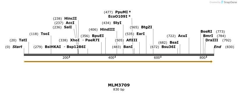 76801_map