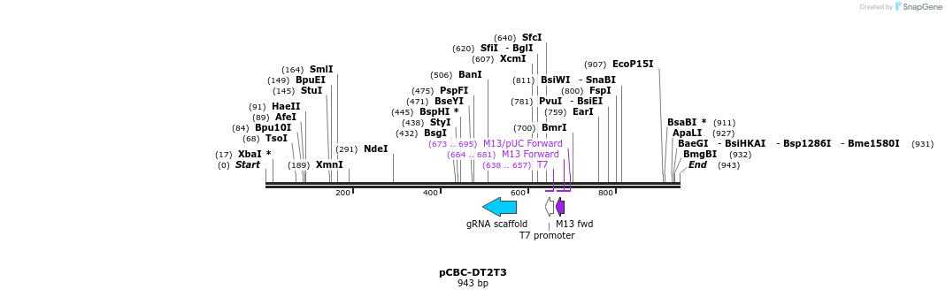 76802_map
