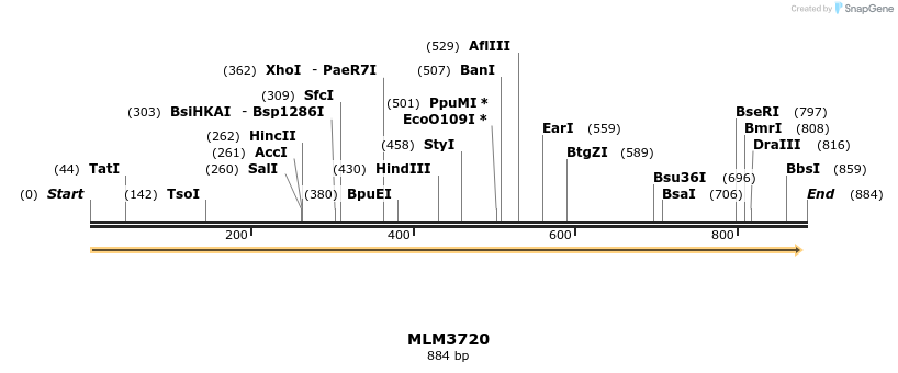 76803_map