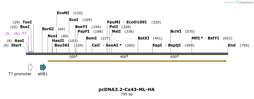 76804_map