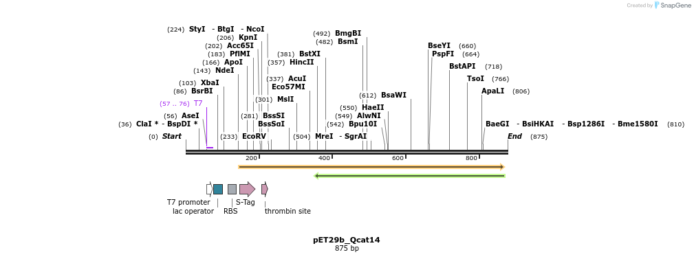 76805_map