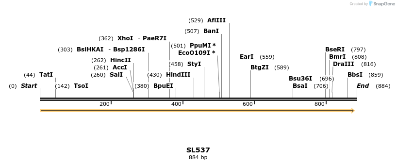 76806_map