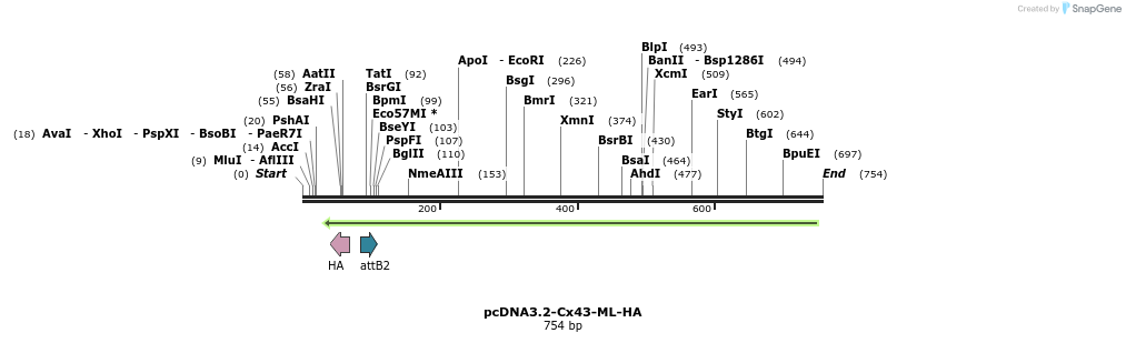 76807_map