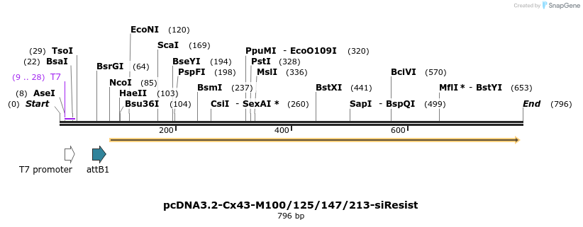 76809_map