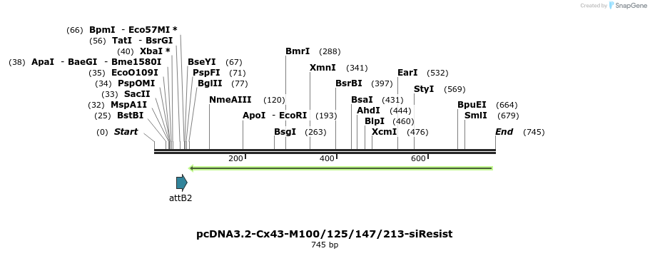 76810_map