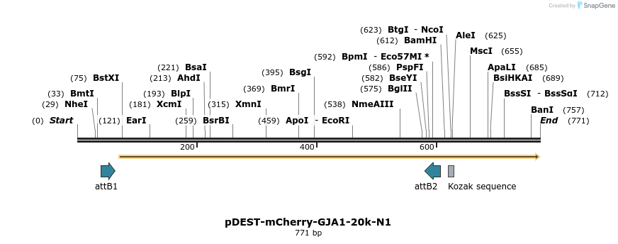 76811_map