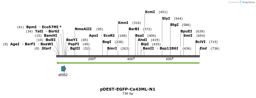 76814_map