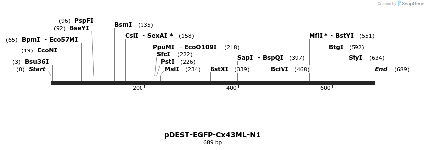 76815_map