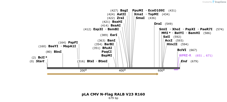 76833_map