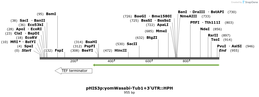 76843_map
