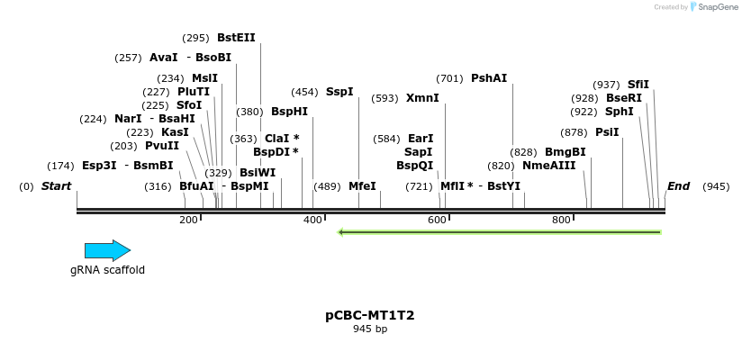 76845_map