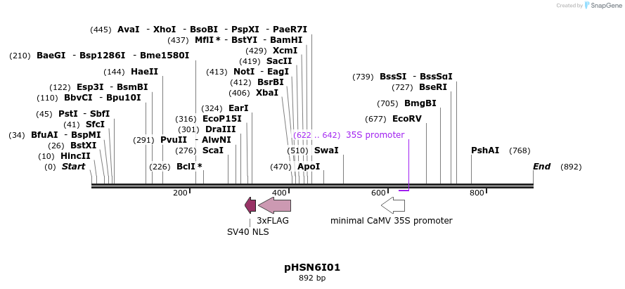 76852_map