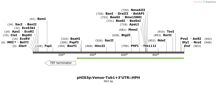 76857_map