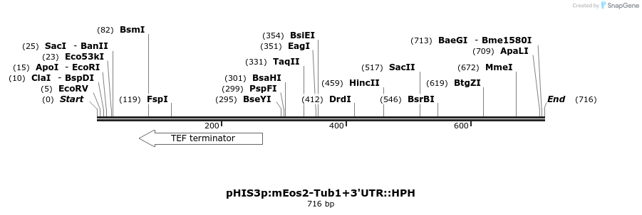 76859_map