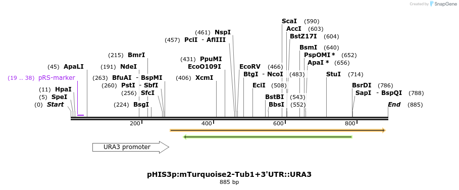 76860_map