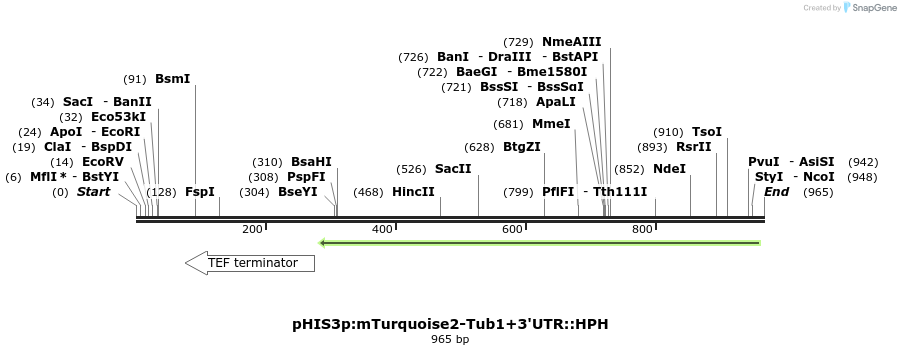 76861_map